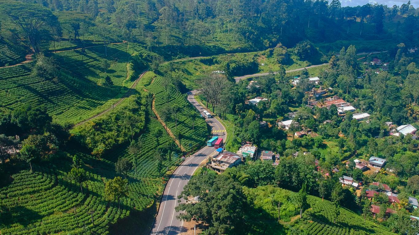 Gampaha district landscape and business environment