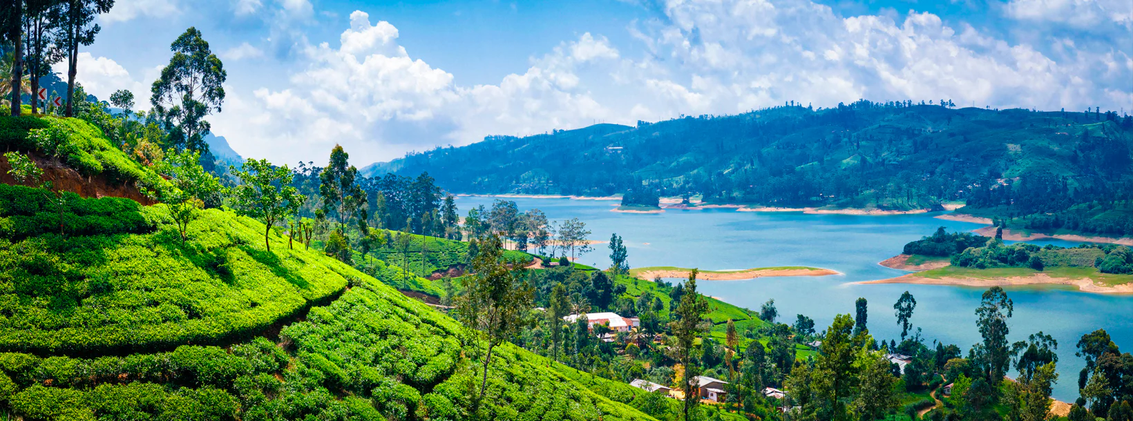 Nuwara Eliya district landscape and business environment